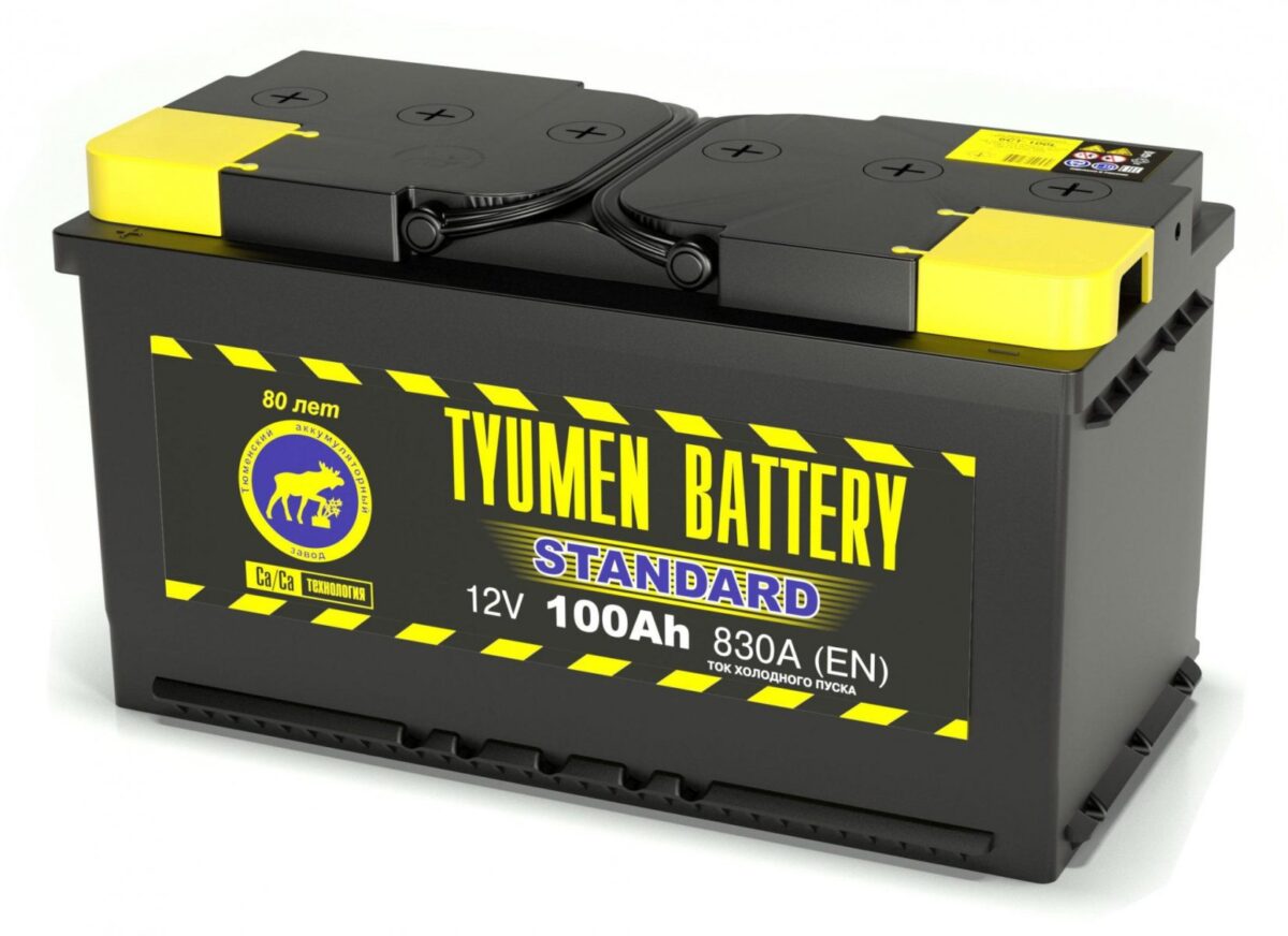 Тюмень 6СТ -100 L   пп