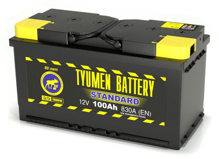 Тюмень 6СТ -100 L   пп